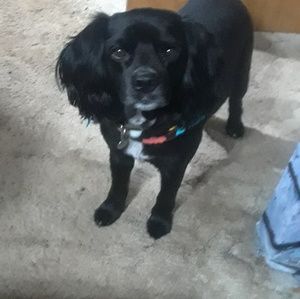 Meet your Posher, Tom